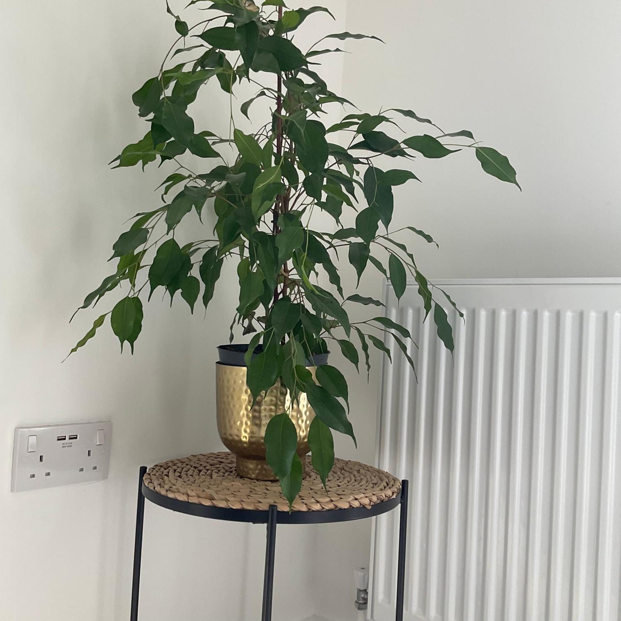 The Parkes A Stylish 3Br House, 5 Mins From Central Birmingham Close To The Edgbaston Stadium, The Hippodrome, Uob, Aston And Bcu, China Town, Kings Heath Bhx Airport And Much More Eksteriør bilde